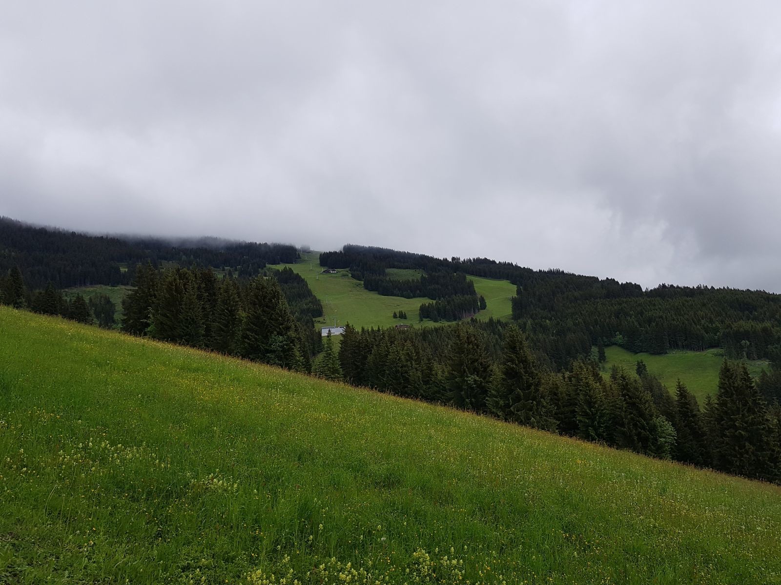 Seitenblick zum Magic 6er