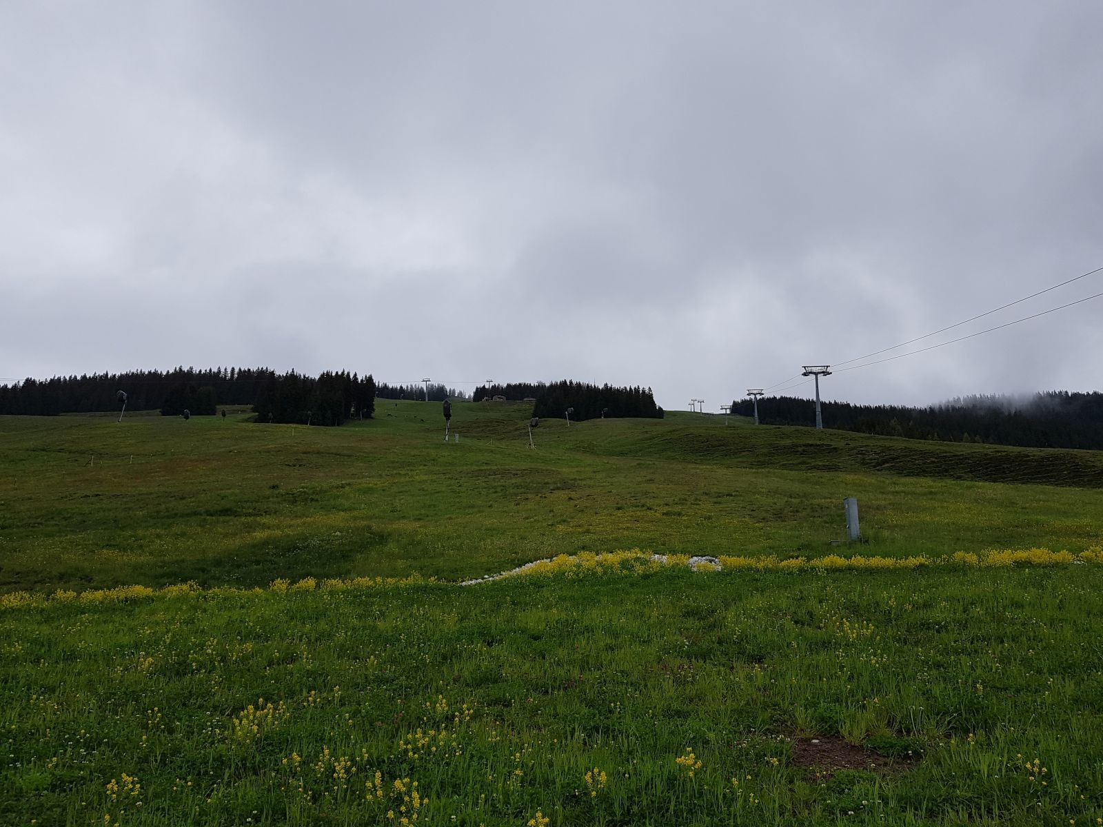 Der Blick schweift hinauf auf die geliebten Carvinghänge am Kohlmais. Links die Trasse der 10EUB, rechts die der 6KSB.