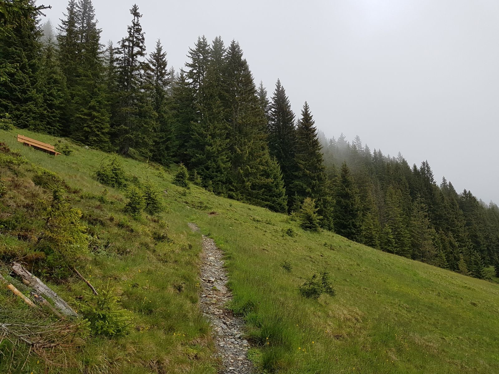 Ab jetzt laufen wir für lange Zeit durchgehend auf schönen, schmalen Steigen.