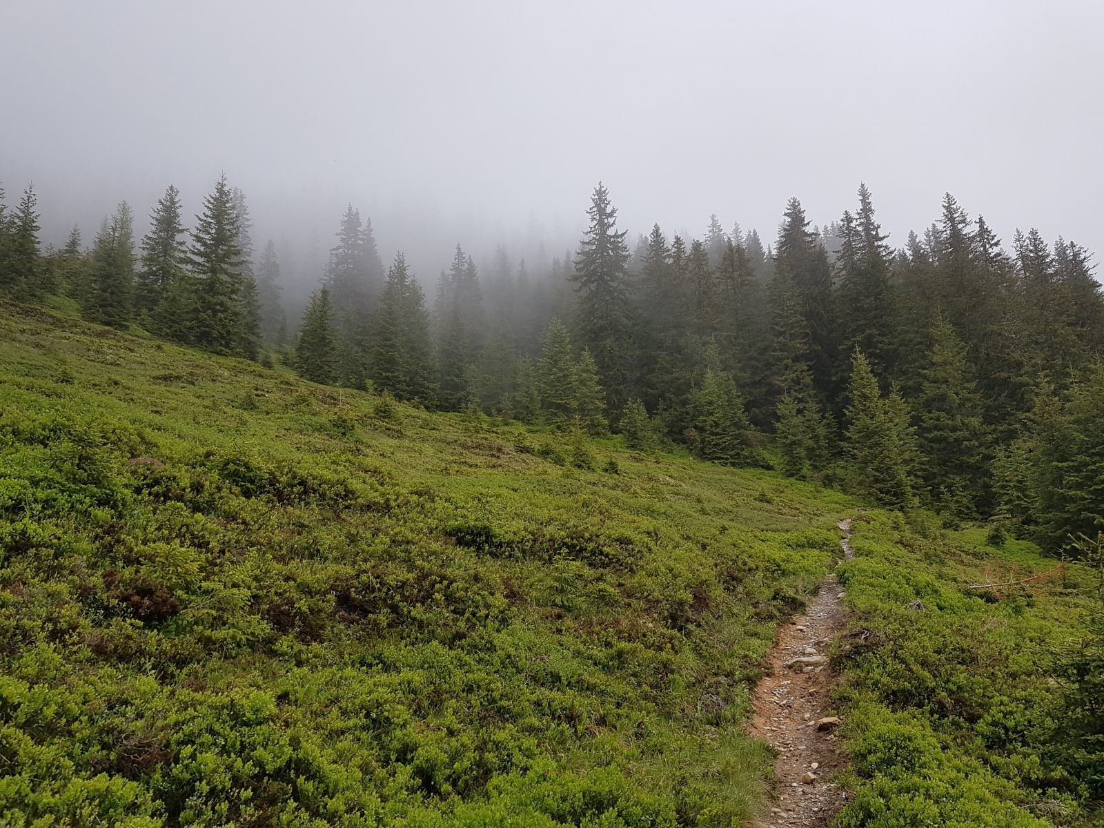 In Serpentinen geht es weiter bergwärts.