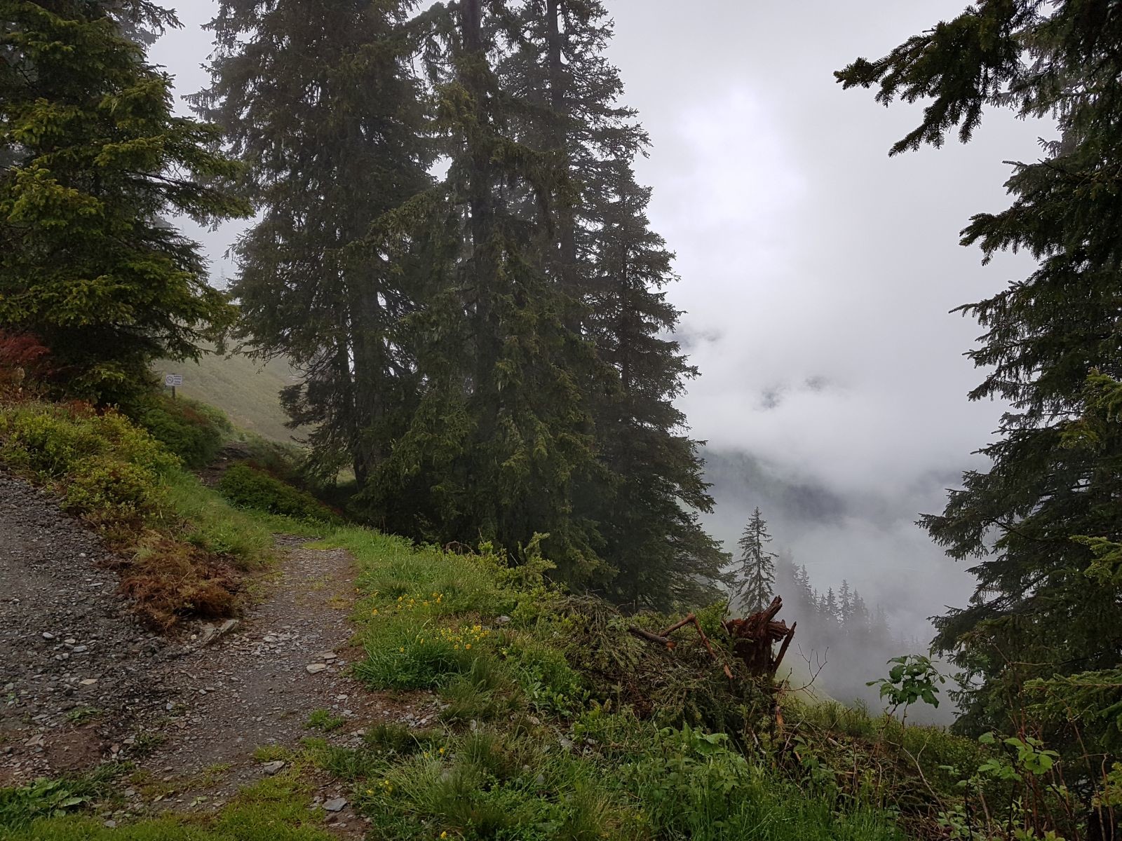 Nach ca. 700 Höhenmetern Aufstieg biegen wir nach gut 2 1/4 Stunden in den Saalachtaler Höhenweg ein.
