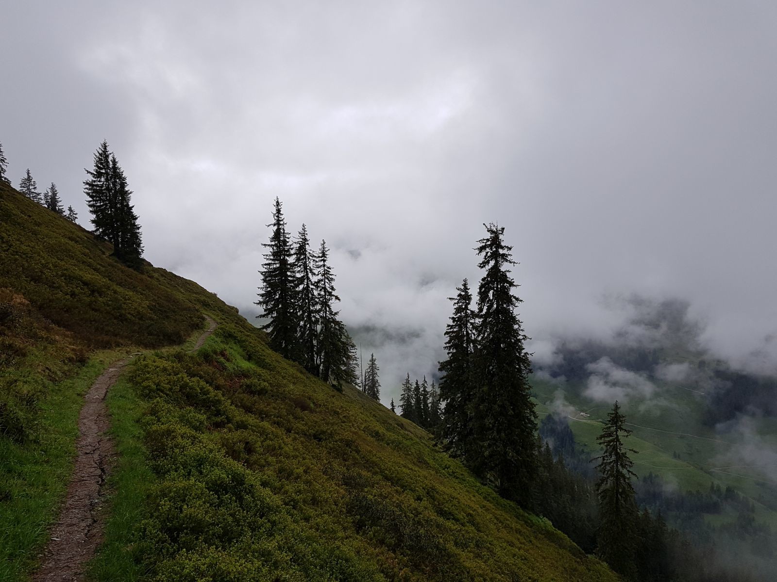 Der Weg ist ein Traum! Bei schönerer Fernsicht schlichtweg perfekt...