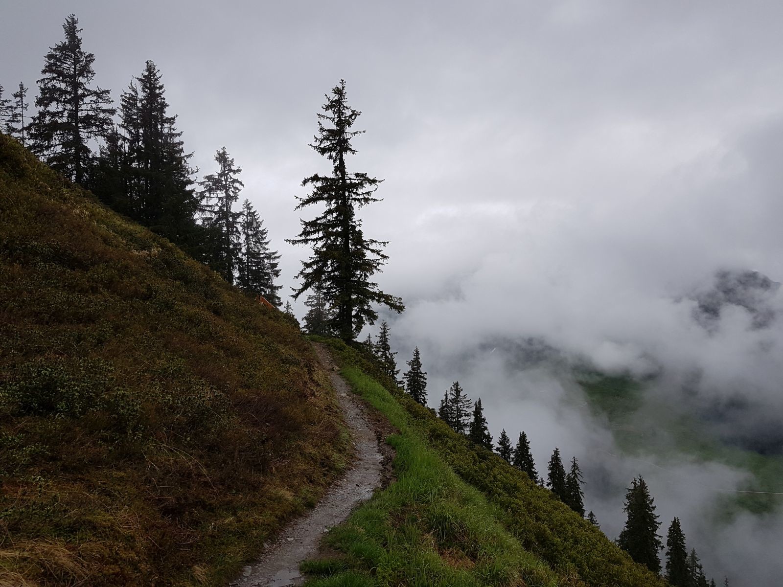 Gut erkennbar waren aber auch hier Abrutschungserscheinungen!