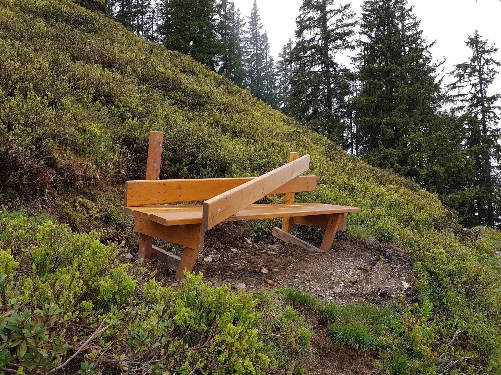 Der Großteil der Bänke war von den Schneelasten zerstört, tolles Managing... Anstatt dass man sie im Herbst einsammelt, schade drum!