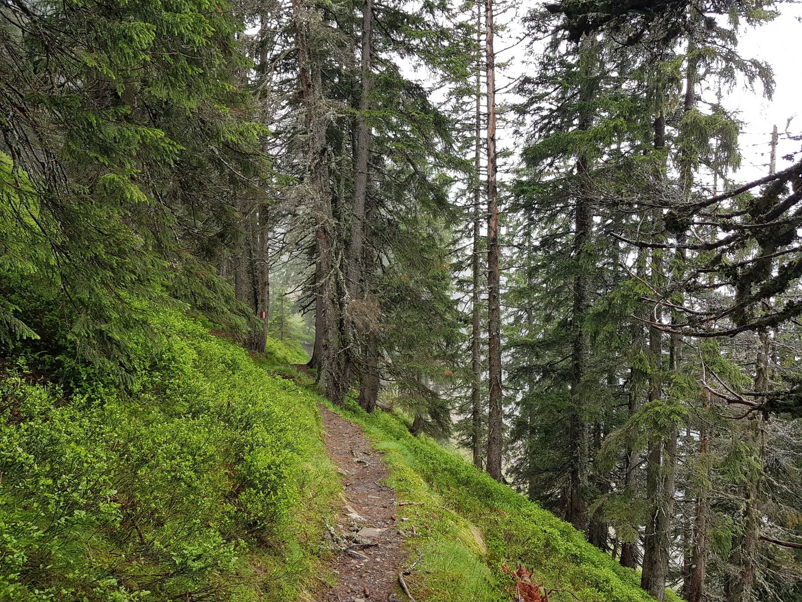 Der Weg war aber echt ein Traum!