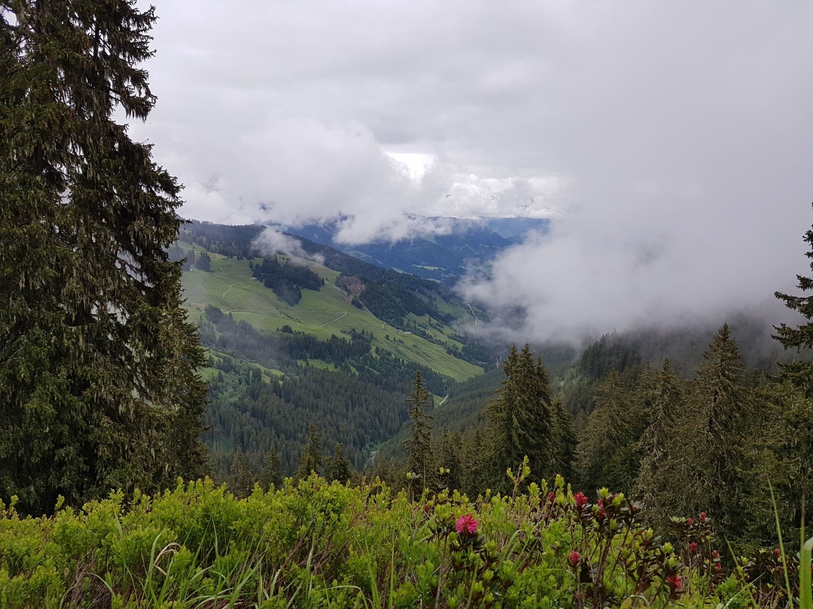 Blick ins Schwarzleotal