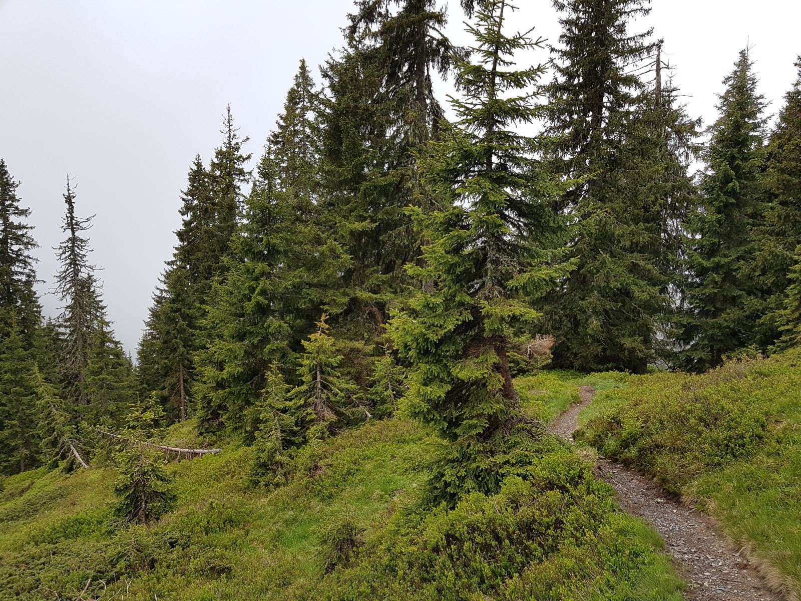 Es ging noch ein letztes Mal etwas bergauf.