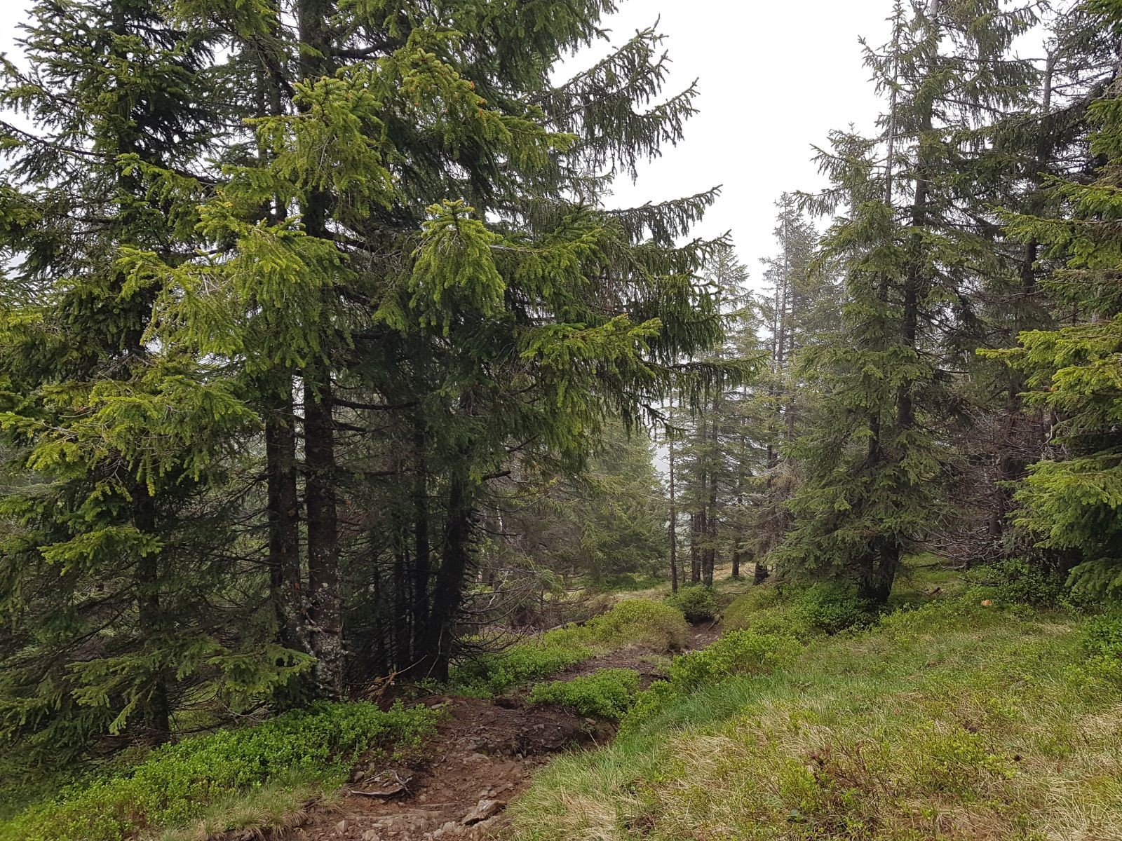 Gegen 16 Uhr begann dann der Abstieg.