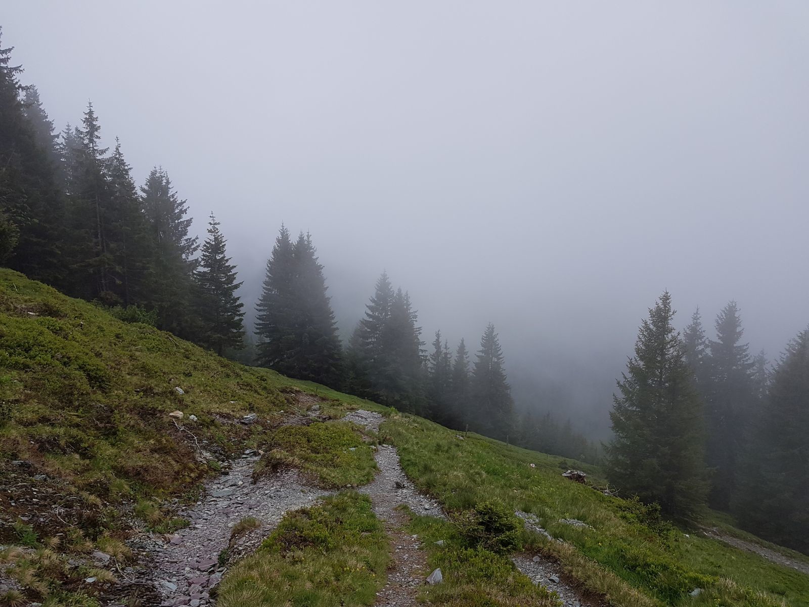 Die Kombination aus Steilheit und Geröll war mit Stöcken leicht zu meistern.