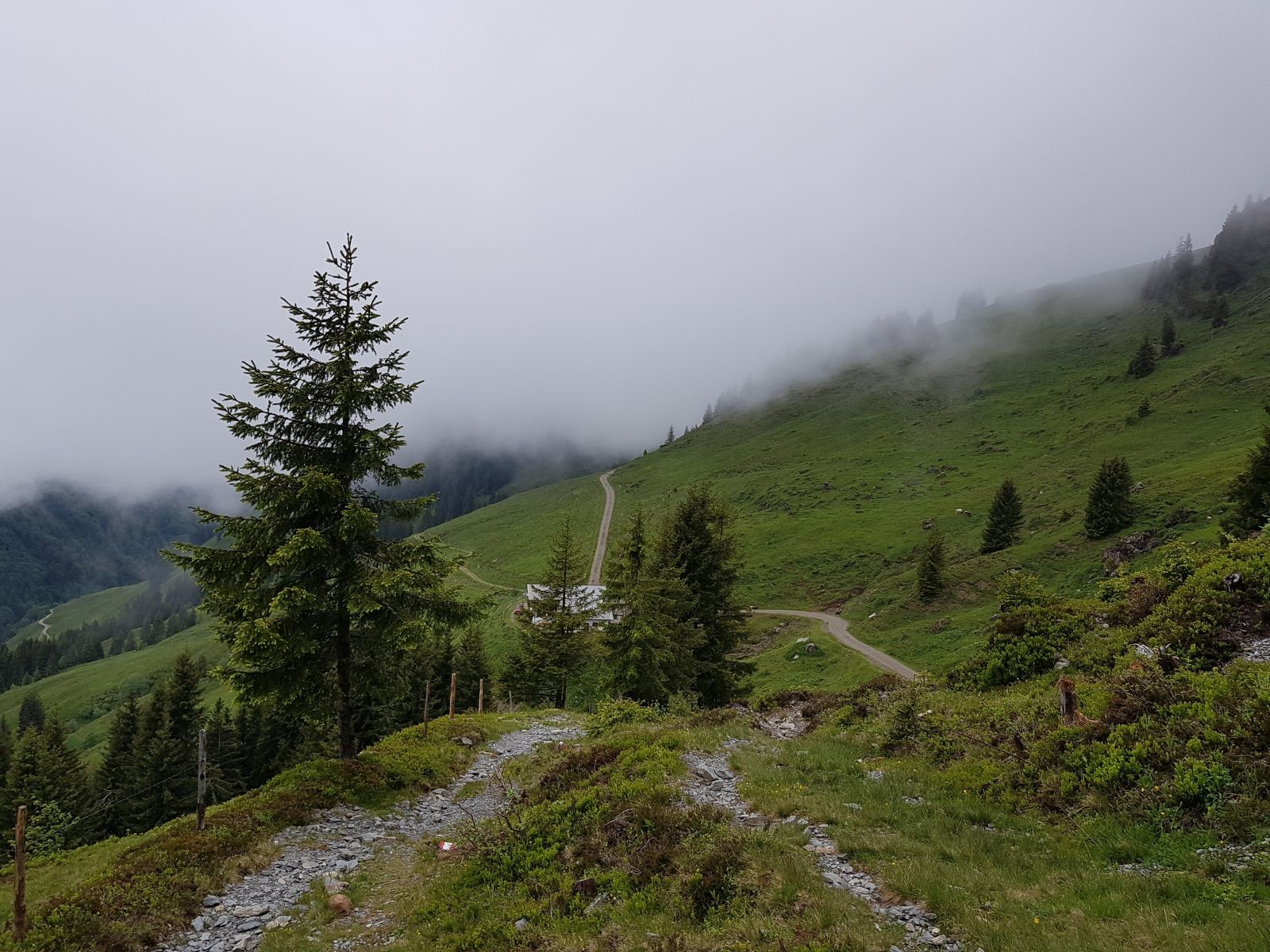 Blick zu einer Almhütte, wir bogen aber links ab.