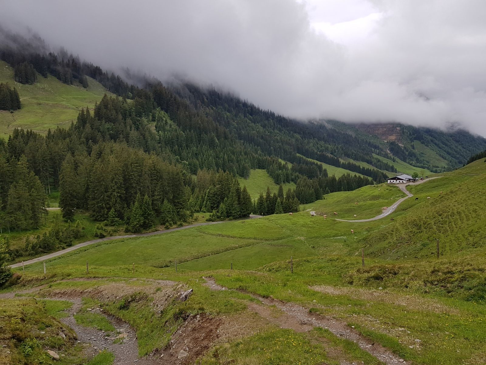 Ehe es wieder auf einen kleinen Weg hinunter zum (noch geschlossenen) Spielberghaus ging. Generell war sehr vieles im Tal noch zu: Bahnen, Hütten, einzelne Supermärkte, Bäckereien, jegliche Sportshops, Lokale, Bars, usw., auch die meisten Unterkünfte!