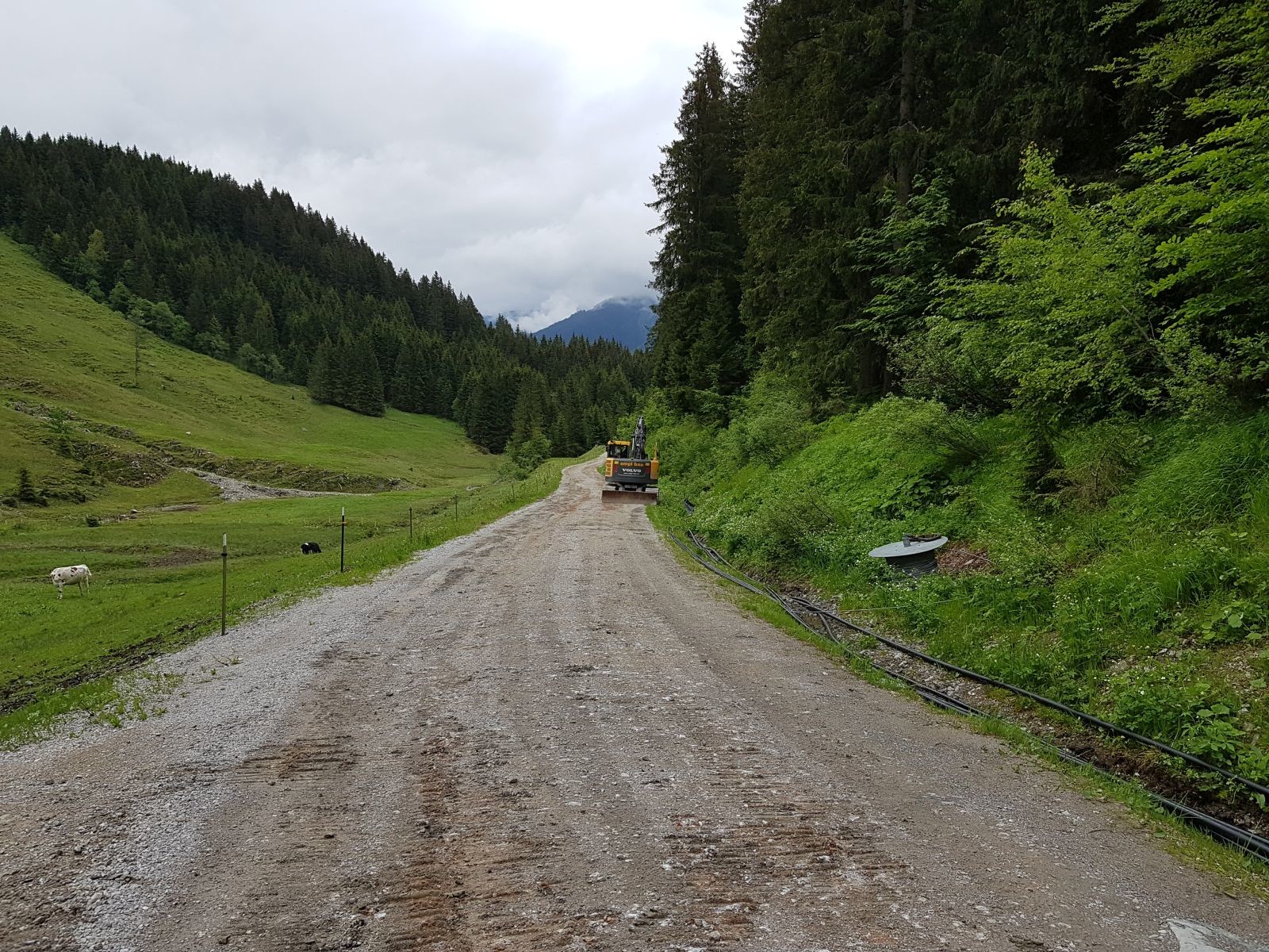 Wieder ein kurzes Stück Fortstraße