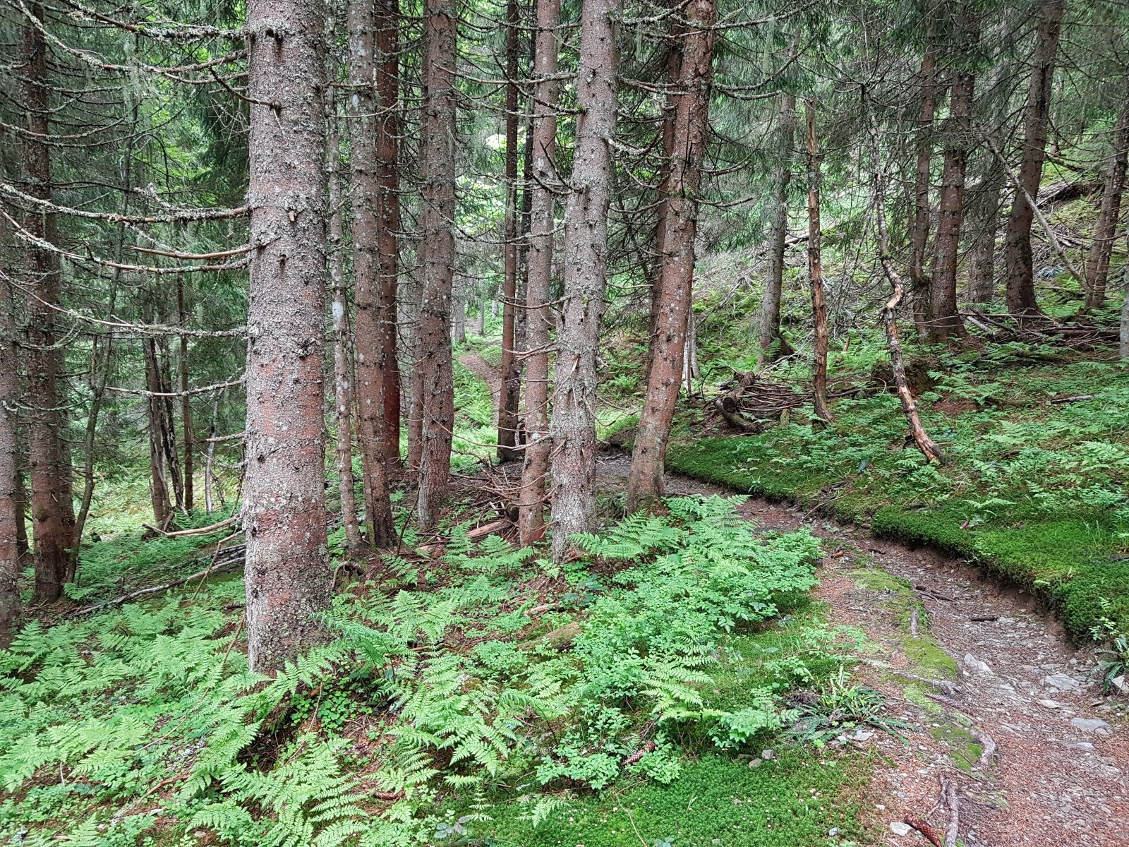 Wer will, kann ihn gerne mit den Augen verfolgen. Er will gar nicht aufhören...