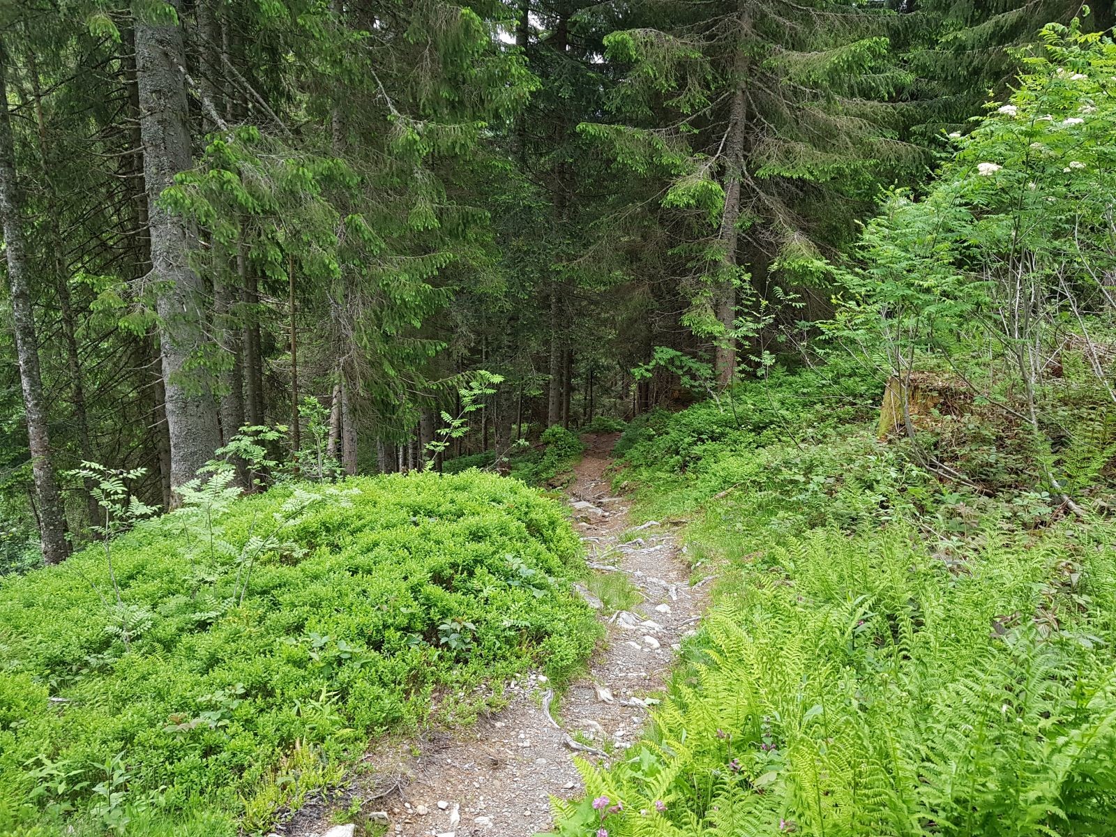 Es geht wieder bergab, wir nähern uns dem Ort.