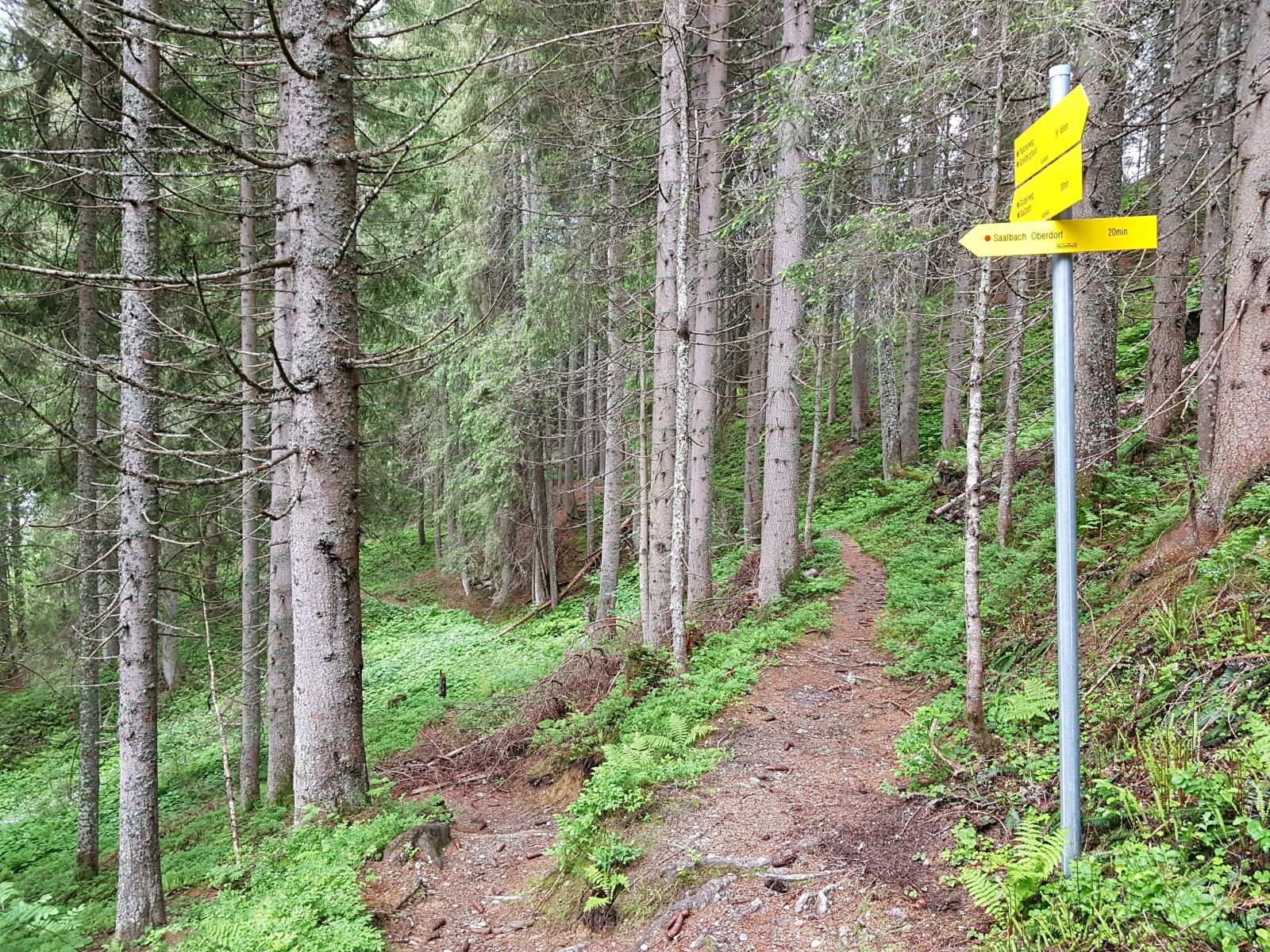 Abbiegung nach links