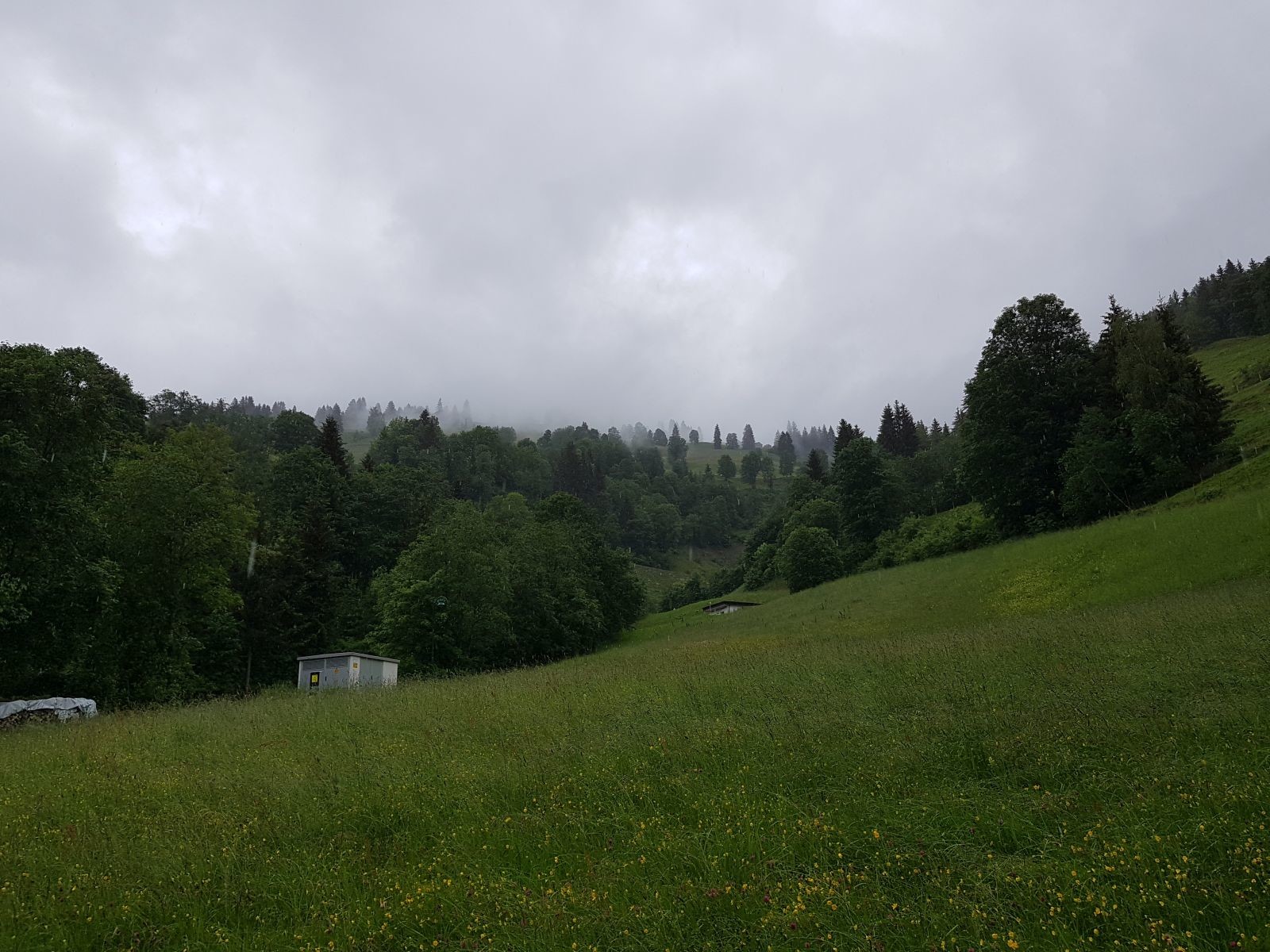 Die Nebelspiele weiter oben am Hang haben mir recht gut gefallen.