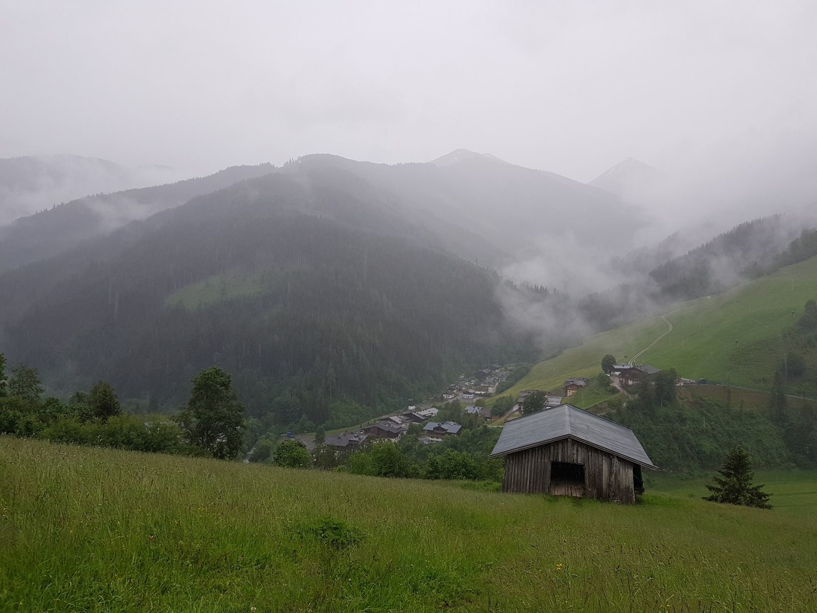 Nun begann die Sonnseitpromenade und wir liefen wieder Richtung Saalbach gen Westen.