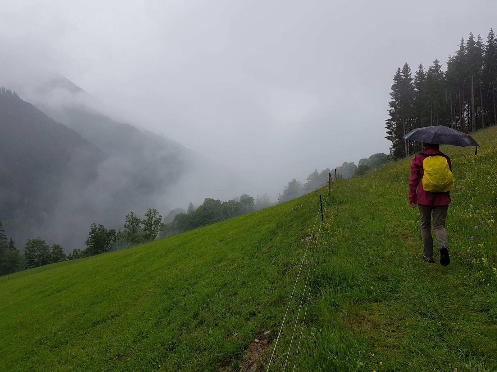 Wir liefen weiter, diesmal ein kleiner Wiesenweg. Aber zum Glück war das Gras nicht so hoch!