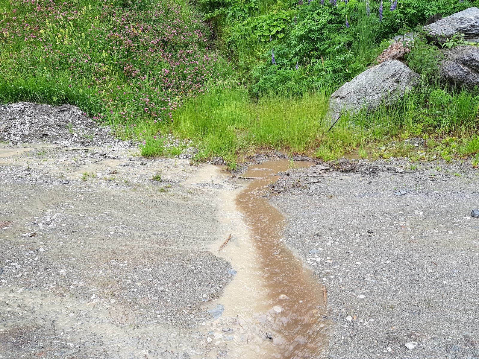 Hier möchte ich ein kleines künstlerisches Element mit einbringen. Zwei kleine Wasserläufe mit unterschiedlichen Farben flossen zusammen  und bildeten einen interessanten Farbverlauf.