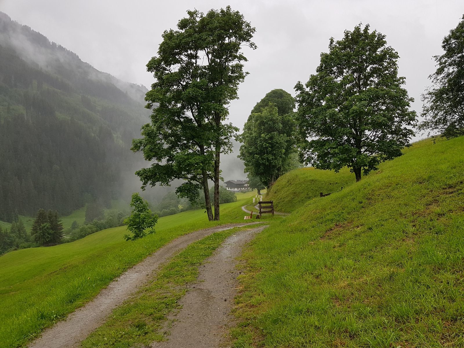 Sonnseitpromenade 14.jpg