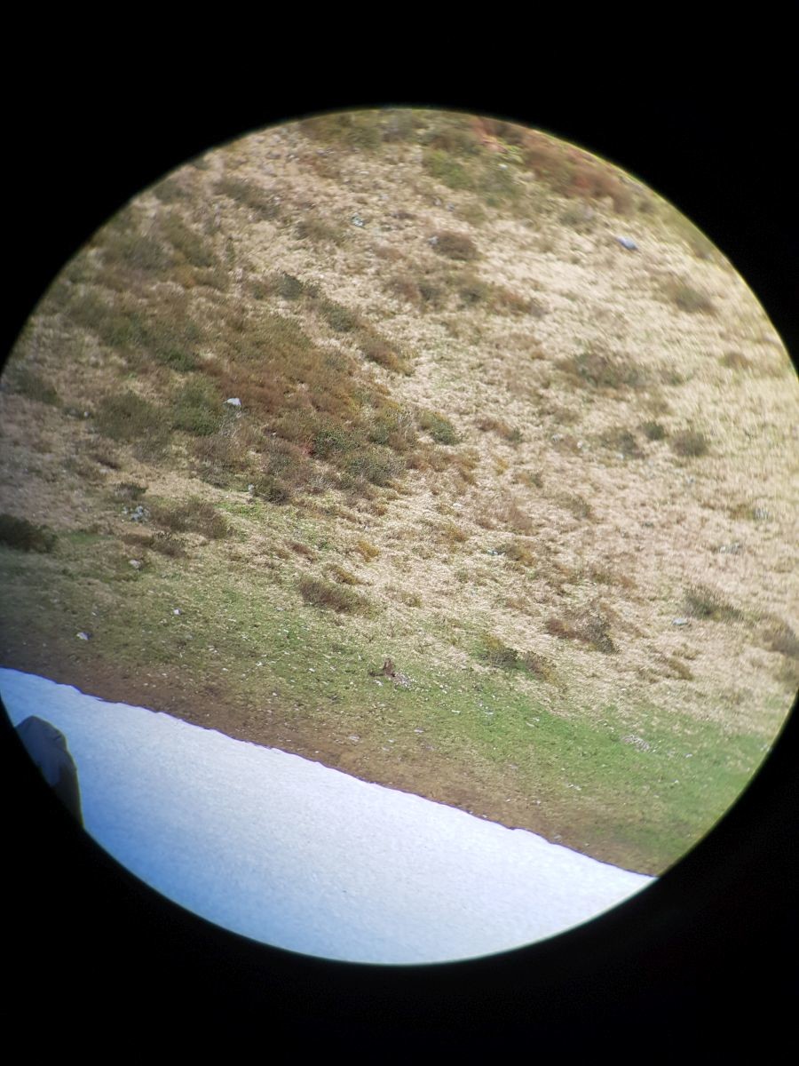 Oben angekommen, machen wir uns auf den Weg. Soeben dachte ich, hier sind bestimmt Murmeltiere, also schaute ich mal so spontan, und siehe da, nach wenigen Sekunden hab ich schon eines gefunden :)