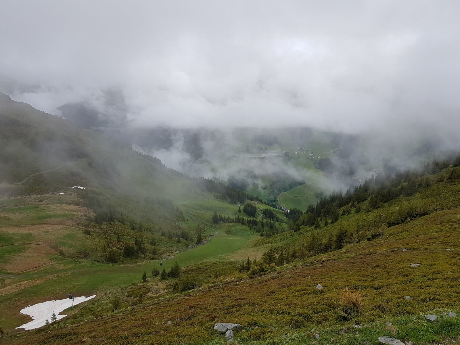 Blick auf die Zwölfer Nordabfahrt. Das rechte Steilstück ist als Piste kaum zu erkennen und noch sehr natürlich bewachsen.