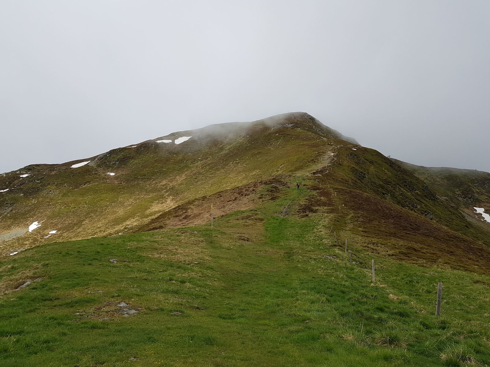 Wir verlassen den Forstweg und begeben uns auf den ersten Anstieg.