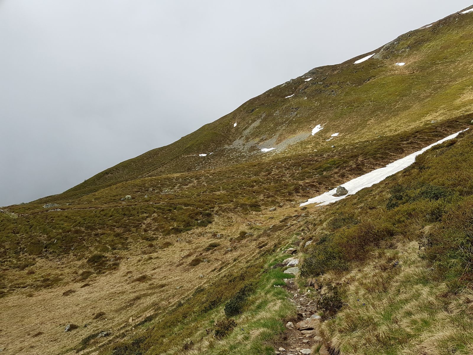 Der Weg ist wieder ein schöner kleiner Pfad.