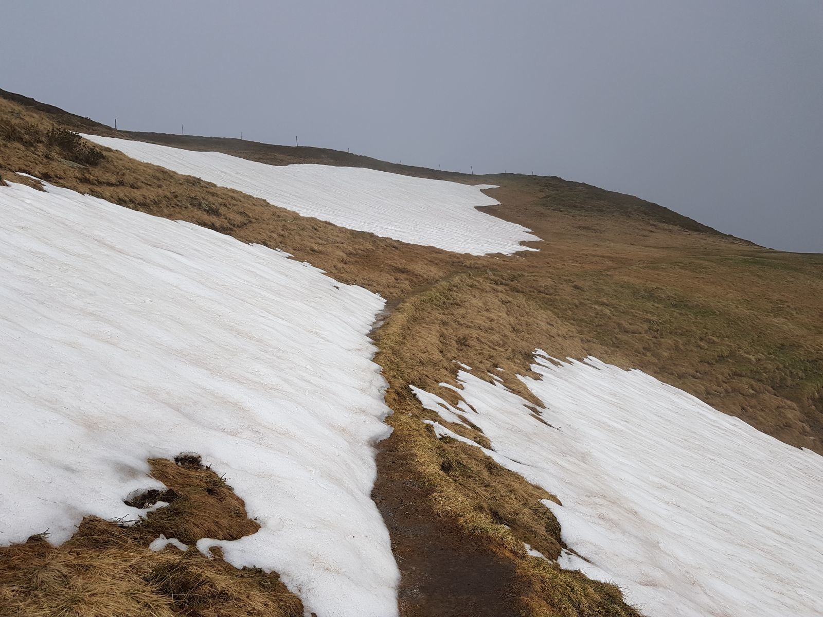 In diesem Bereich gab es noch einige auch größere Schneefelder.