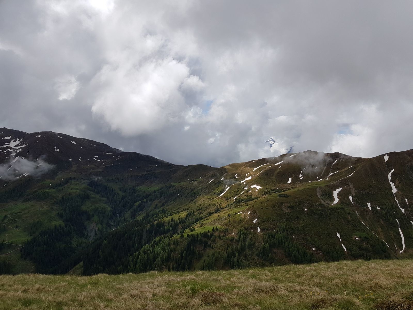 Eigentlich hätten wir nämlich da drüben am Hang, weiter südwärts, laufen müssen.