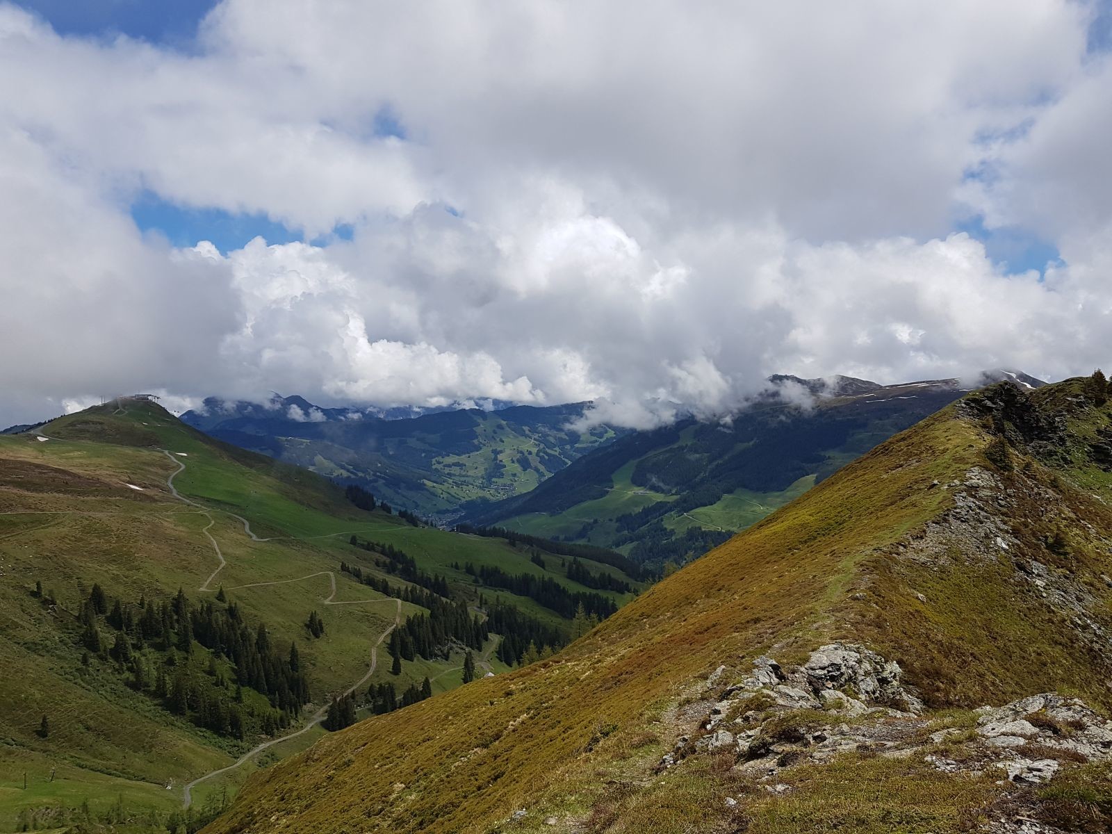 Nun war der Blick bis zum Kohlmais frei.