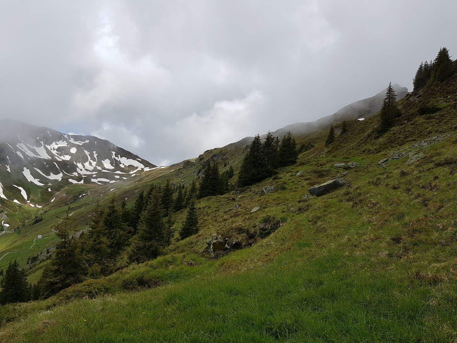 An dem Gipfel war dann aber Schluss, es ging an allen Seiten runter. Also suchten wir eine Stelle, an der wir absteigen könnten. Hier schon weiter unten.