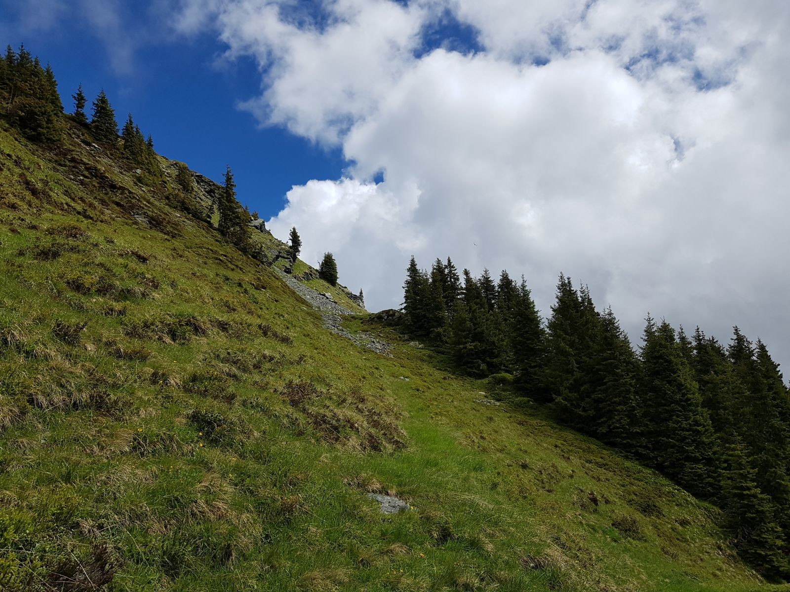 Das sieht ja wie ein Weg aus, zumindest etwas... wir liefen weiter und weiter.