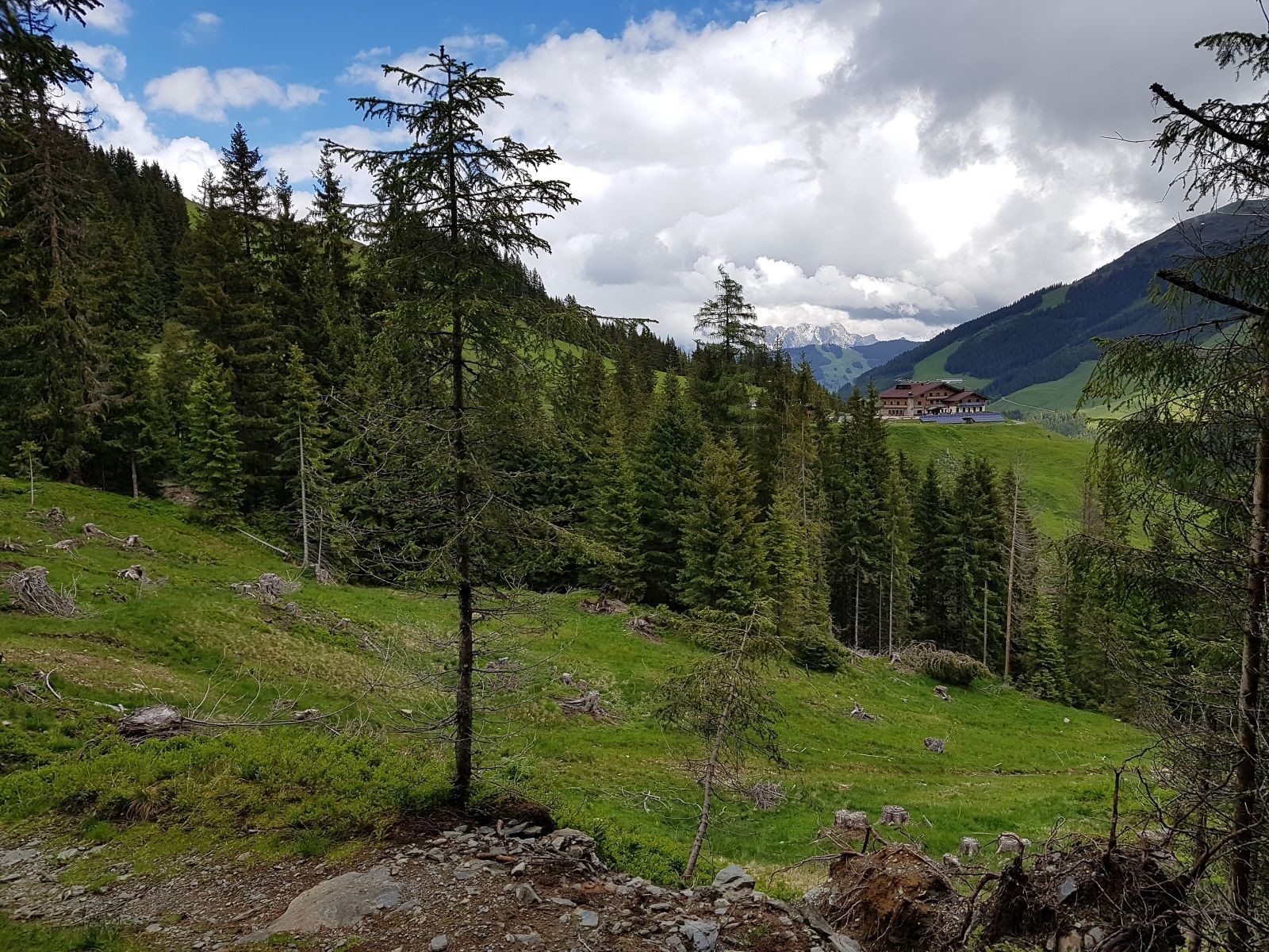 Der Pfad zur Ellmaualm war sehr schwer zu finden, denn er wird nicht mehr geplegt. Irgendwann hatten wir ihn dann doch erwischt... in der Mitte war er auch sehr schön zu gehen.<br />Im Bild zu sehen ist übrigens die Ellmaualm, dort waren wir die ersten Gäste der Saison, und heute wohl auch die einzigen.