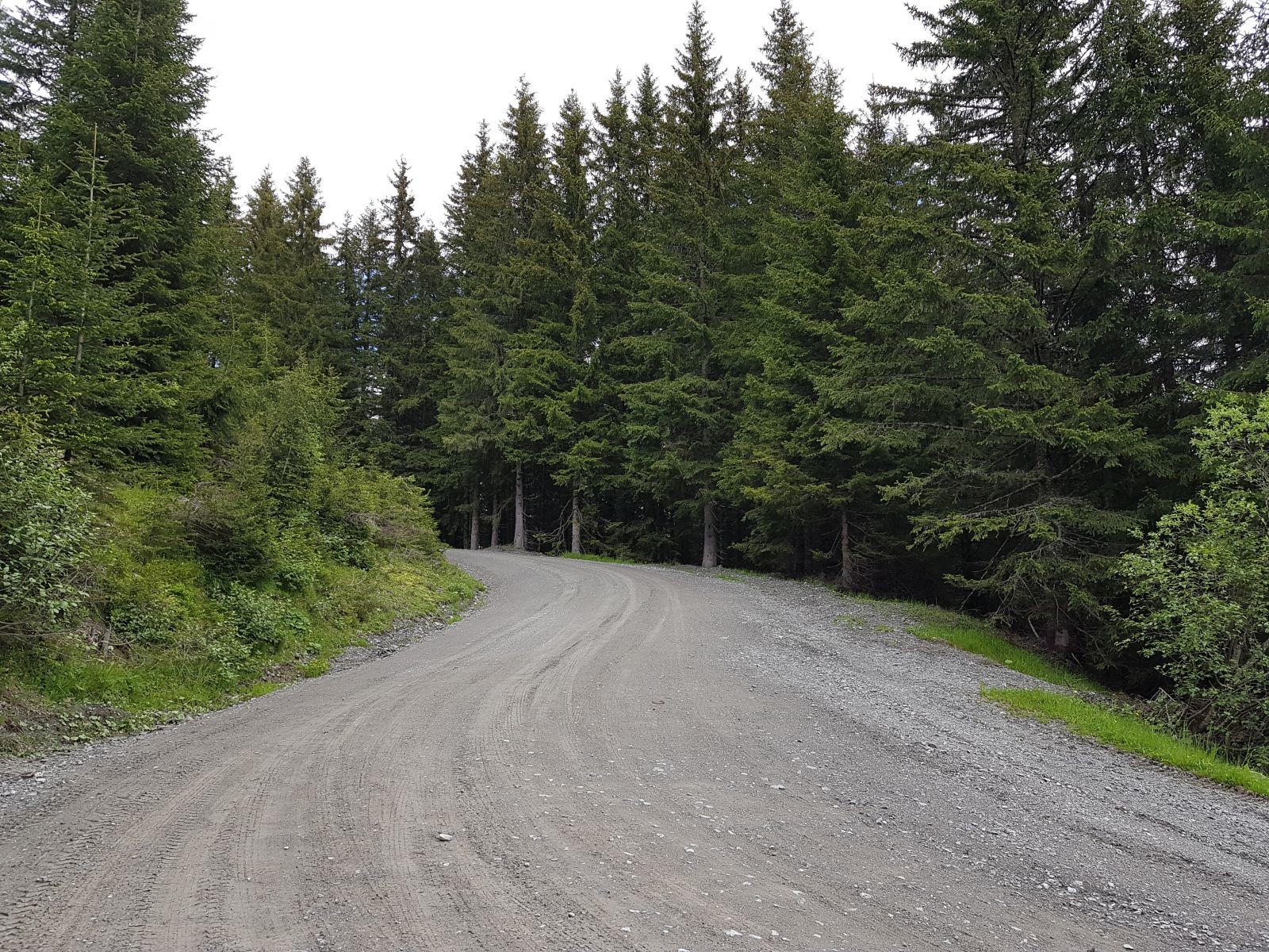 Forstweg zur Zwölfer-Mitte. Das sagt alles oder? Ich liebe solche Wanderwege, es gibt nichts schöneres!! Jetzt beim Schreiben kommt mir schon wieder die Wut und die Hitze...
