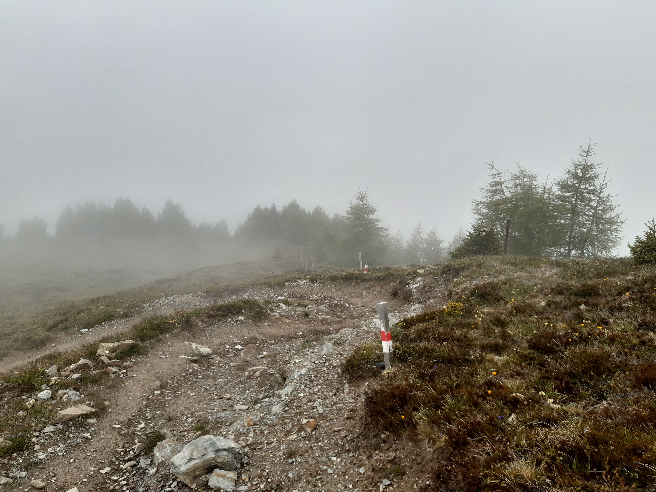 Danach wird es steiler mit engen Kehren, welche aber noch ohne Umsetzen fahrbar sind.