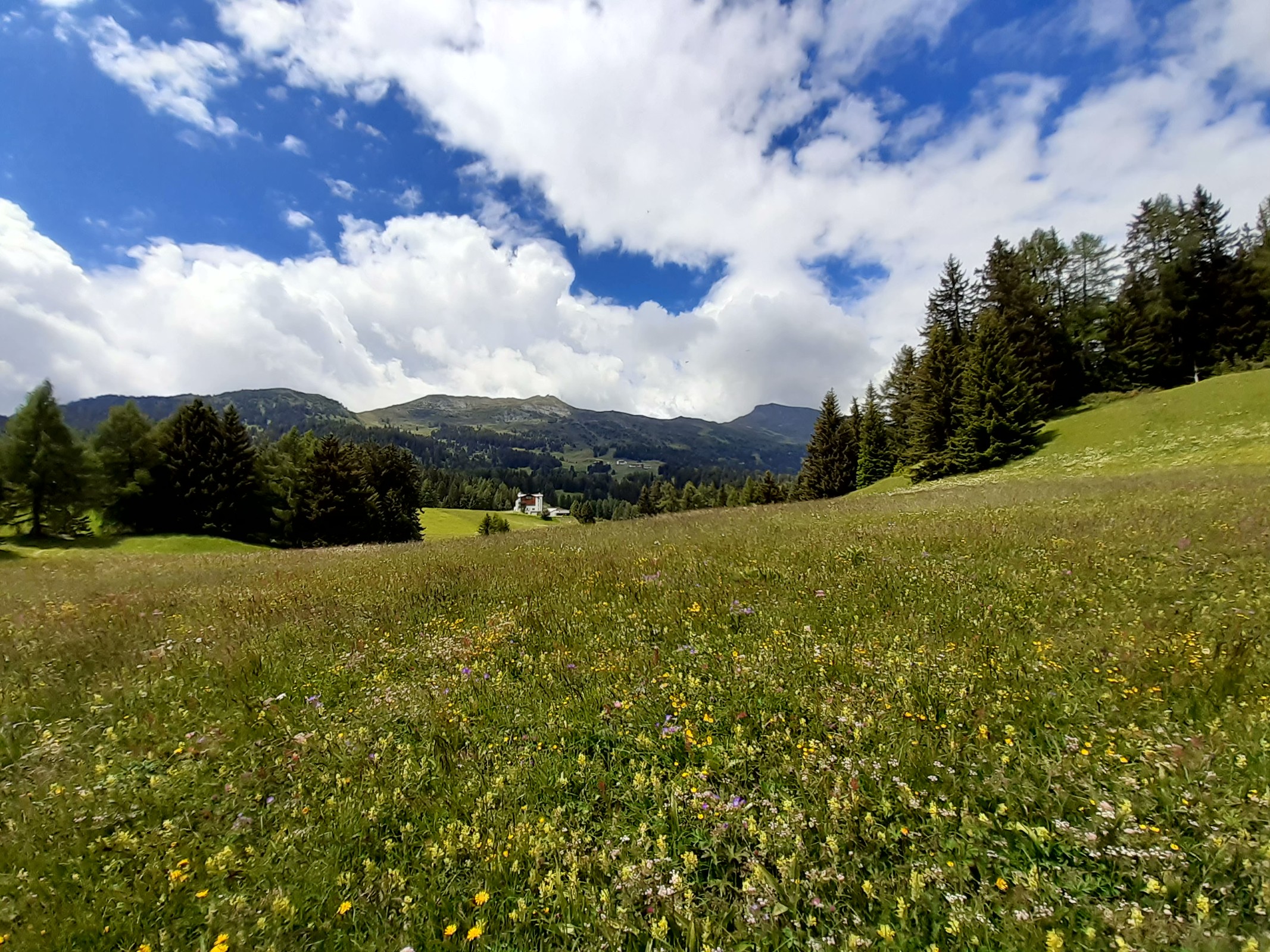 Zwischen Sporz und Lenzerheide