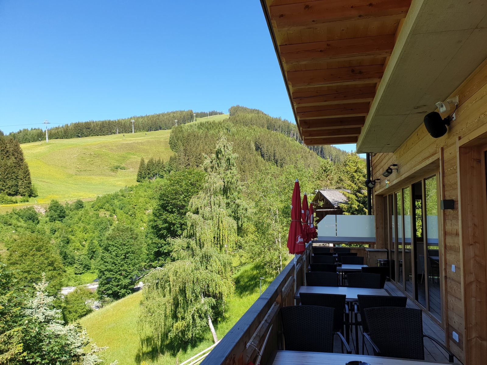 Morgendlicher Blick auf den schönen, breiten Bernkogelhang