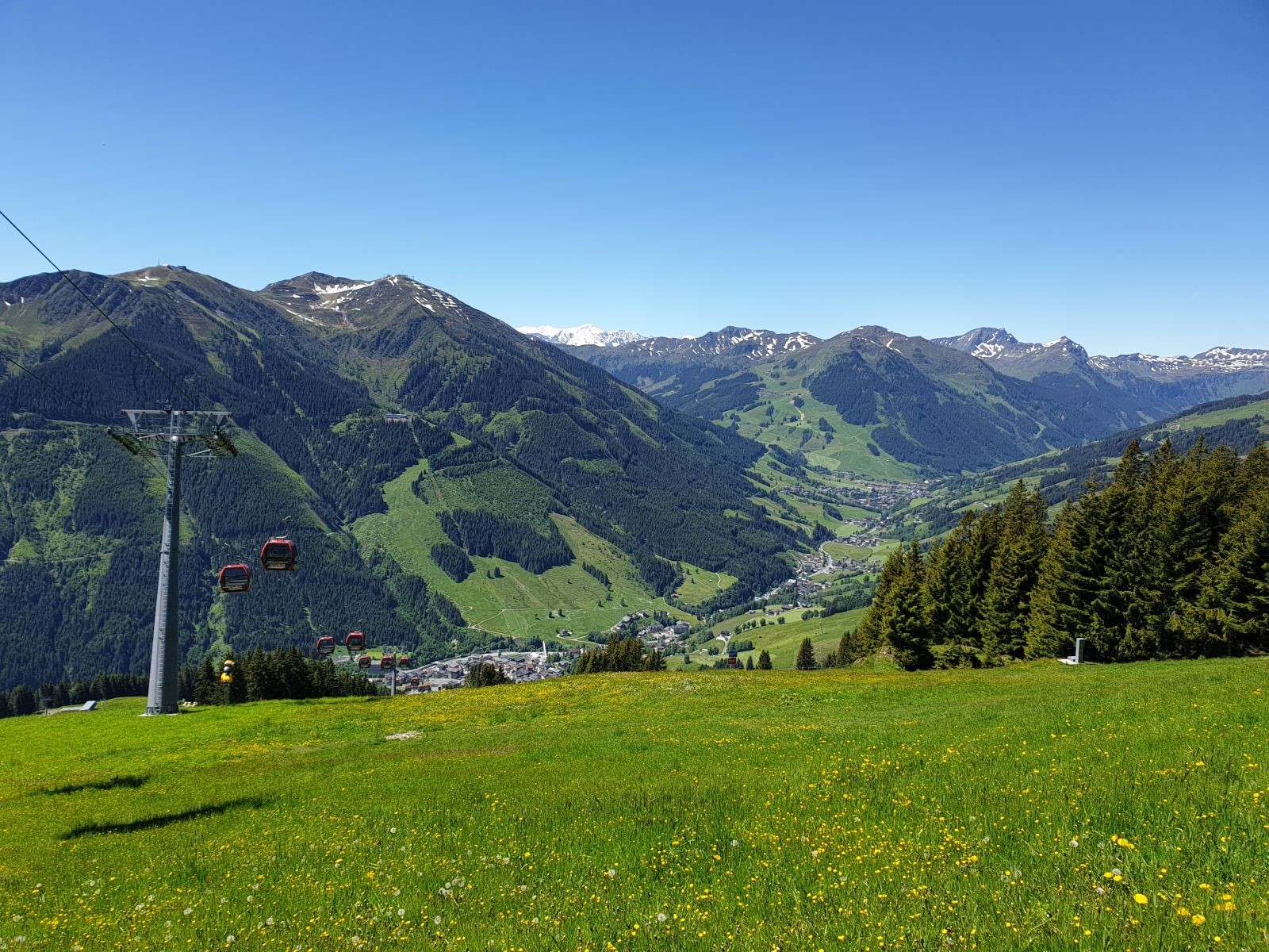 Auf dem Weg nach unten, hier ist auch nochmal die gesunde Pistenvegetation zu sehen.