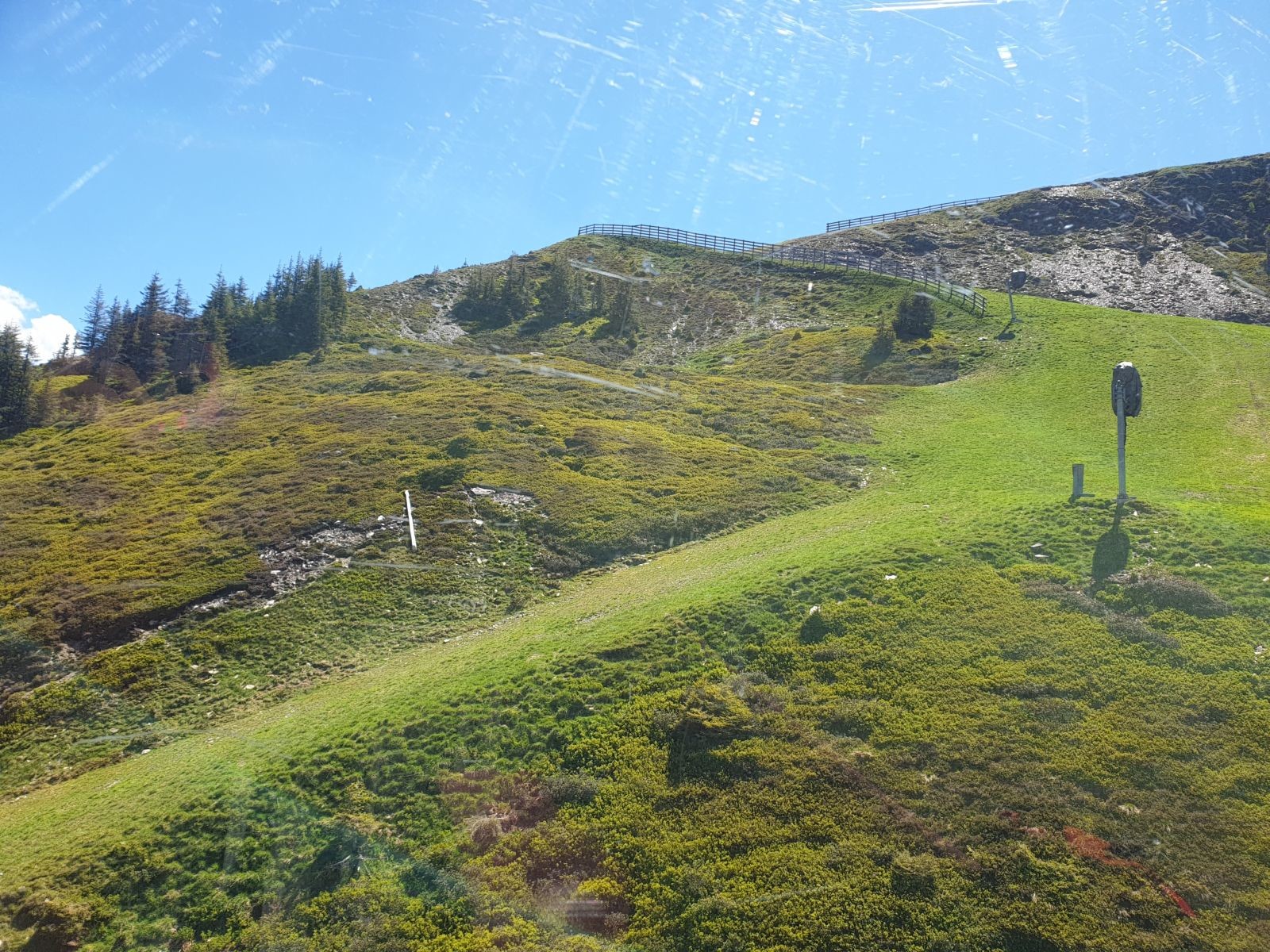 Die doch stark modellierte Piste hier hat natürlich eine etwas dünnere Vegetation und ist gut als solche erkennbar, was ich aber auch nicht tragisch finde.