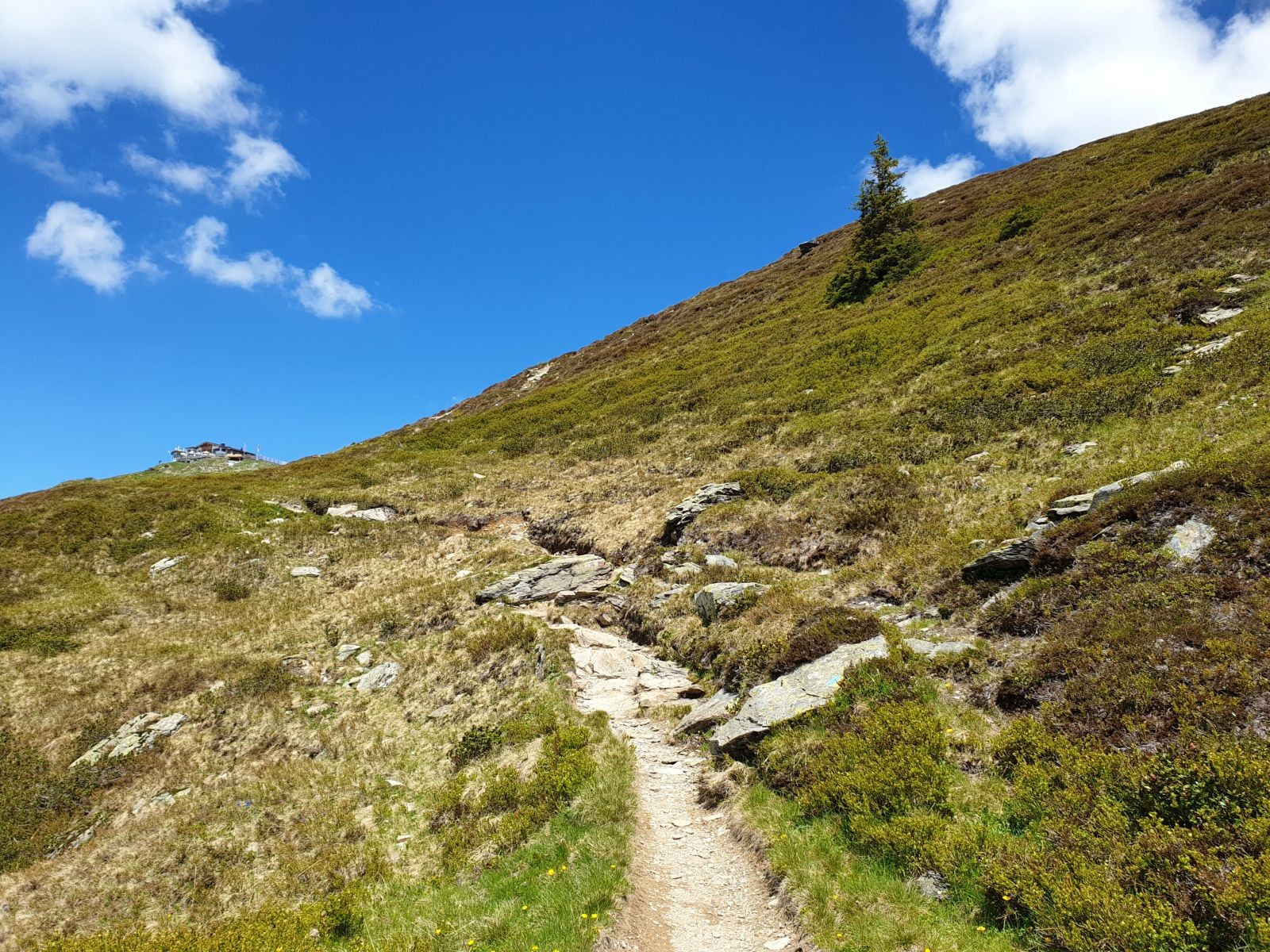 Man nähert sich nur der Westgipfelhütte, biegt dann aber davor links ab.