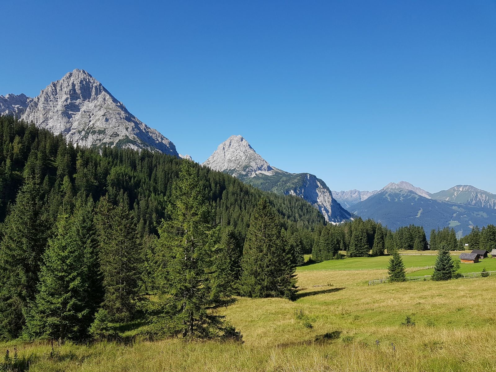 Nach der Auffahrt mit der Bahn angekommen auf der schönen Alm. Das tolle Panorama mit den Felsmassiven sticht sofort ins Auge.