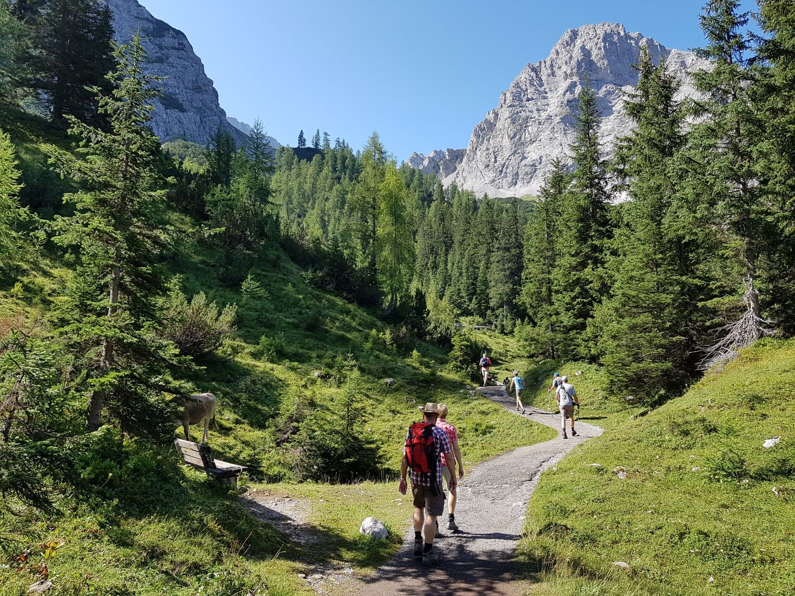 Schon bald zweigen wir von der Forststraße ab und laufen auf einem kleineren Weg weiter gen Westen zum Seebensee.