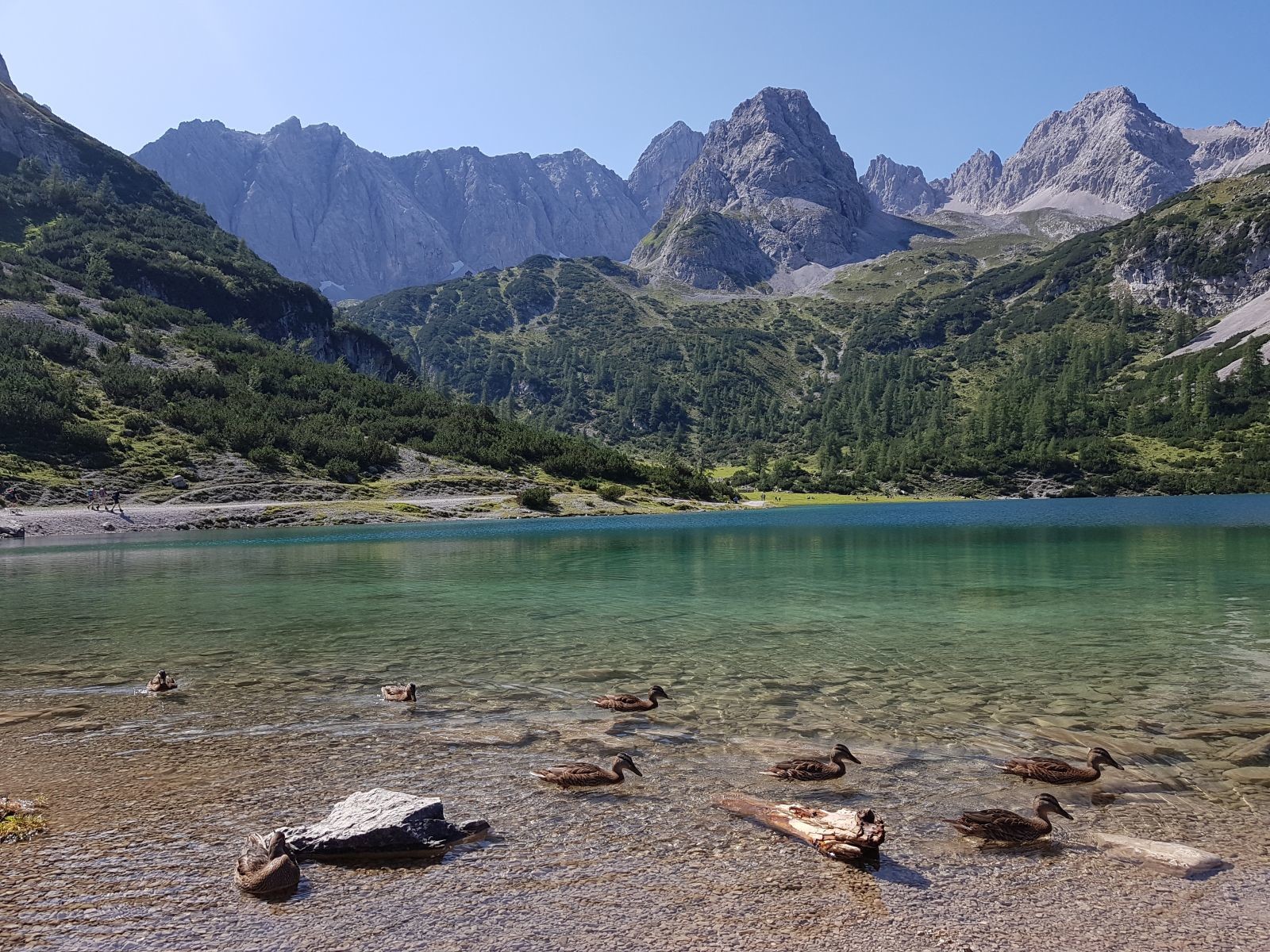 Das Wasser war klar, man sah die Steine durch, und ein paar Enten :)