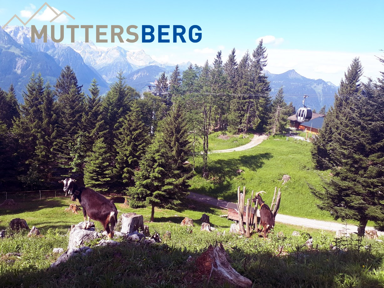 Wanderung Muttersberg nach Bergfahrt mit der Muttersbergbahn. Inklusive LSAP Bilder!