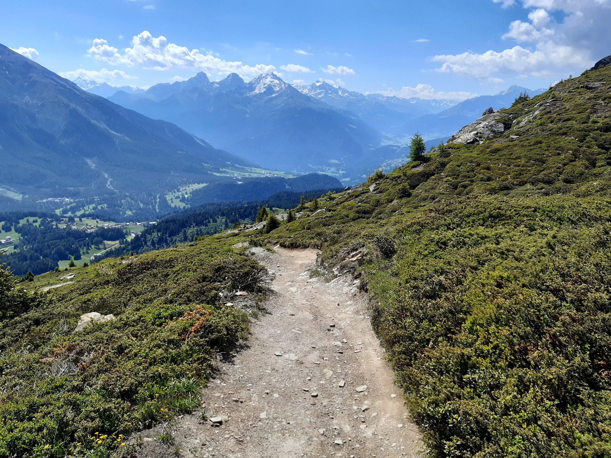 Der erste Teil ist eher steil aber sehr glatt mit wenig Steinen/Felsen oder Wurzeln.