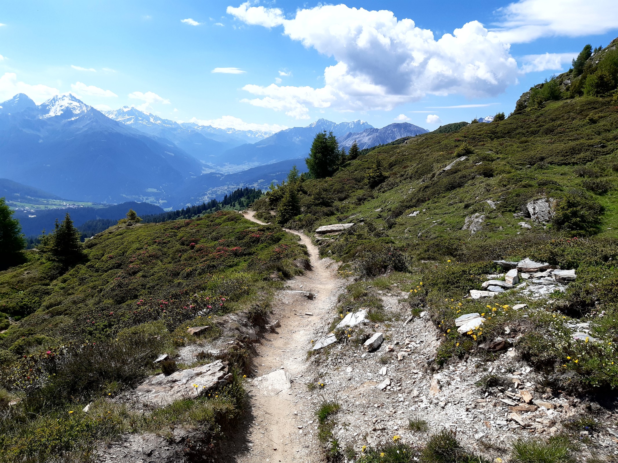 Der mittlere Abschnitt ist wieder flacher und sehr flowig.