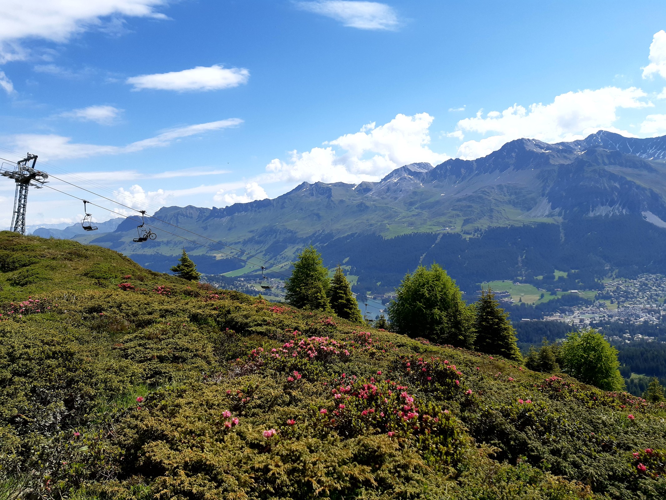 Die Vegetation und Aussicht in diesem Bereich gefallen mir sehr gut!