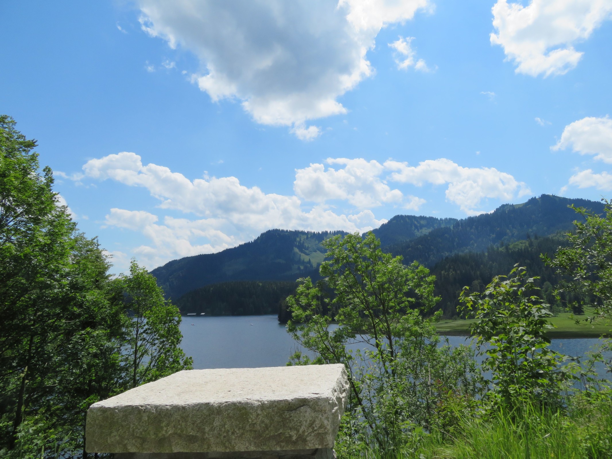 Nochmal ein Bild durch die Bäume ein paar Hundert Meter weiter.