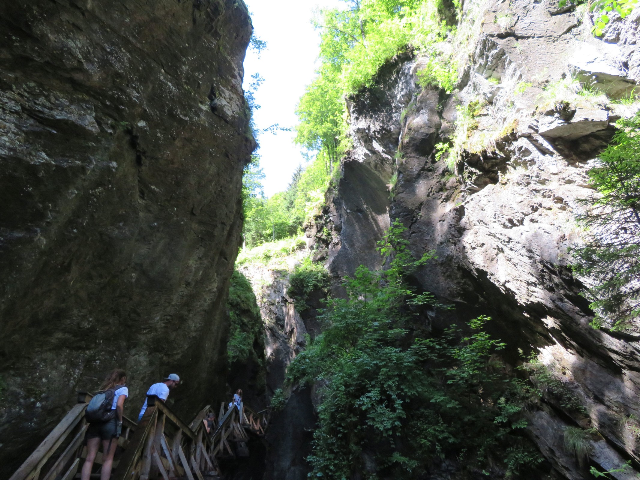 20200628_1_Sigmund-Thun-Klamm & Klammsee_07_klein.jpg